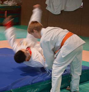 judo gourin