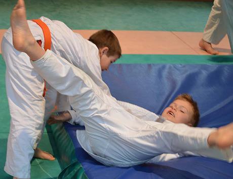 judo gourin